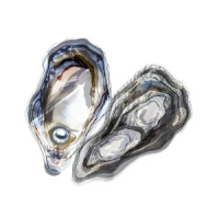 The couples profile image